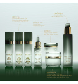 SISLEŸA L'INTÉGRAL ANTI-ÂGE SERUM ECLAT ANTI-TACHES SISLEŸA L'INTÉGRAL ANTI-ÂGE SERUM ECLAT ANTI-TACHES